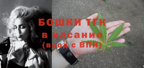 тгк Алексин